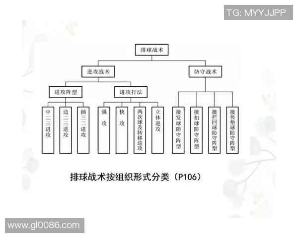 南京排球队转换体系的战术分析与实践探索 南京排球队转换体系的战术分析与实践探索