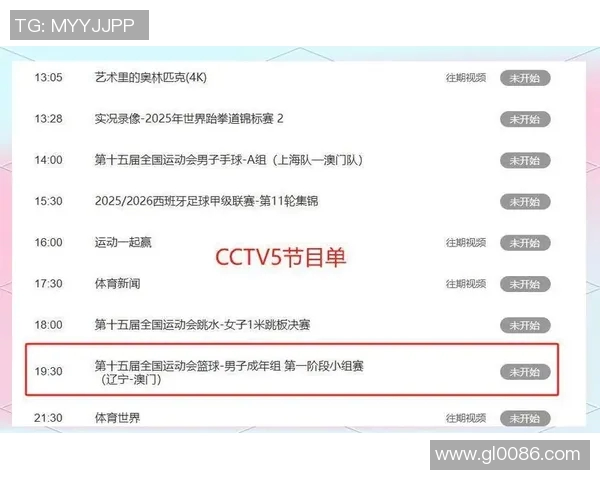 武汉篮球队在全运会中的节奏表现分析与未来展望 武汉篮球队在全运会中的节奏表现分析与未来展望