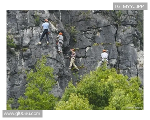 聚焦攀岩精神：探索杭州攀岩队的团队意识与挑战精神