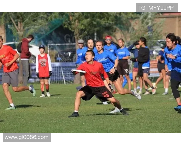 飞盘纪实：见证杭州飞盘队从默默无闻到崭露头角的奋斗历程