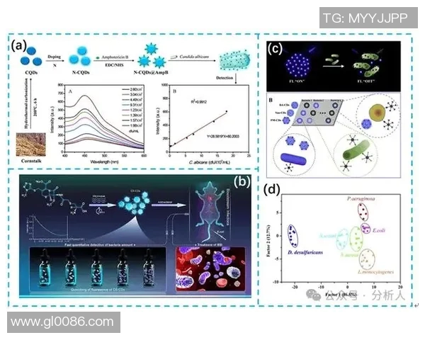 于德豪的创新之路：探索科技与艺术的完美结合与未来发展潜力