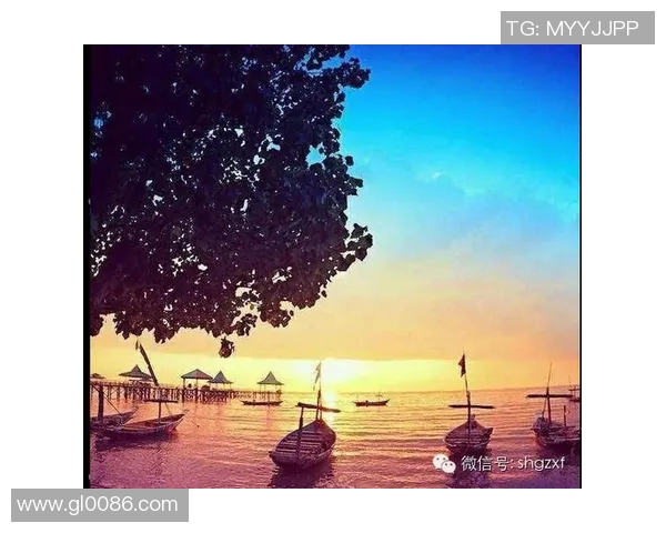 张帆的成长之路：从普通学生到行业领军人物的奋斗历程与心路历程