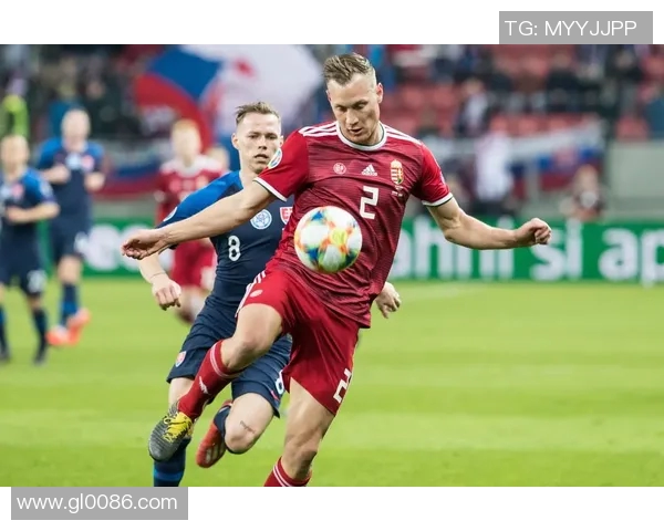 斯洛伐克与匈牙利足球实力对比分析哪支球队更具竞争力