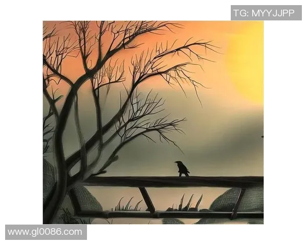 探索奥蓬达的魅力与历史价值，揭示其在文化交流中的独特地位与影响力