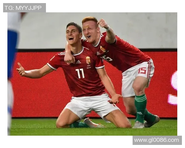 瑞士与乌克兰足球历史交锋战绩分析及未来展望