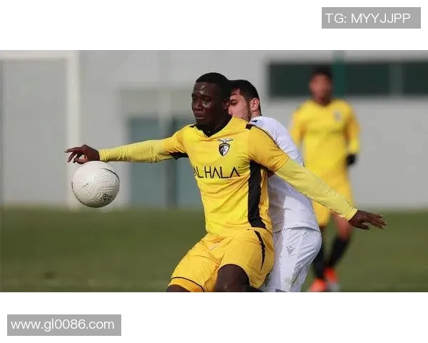 波尔蒂茫主场迎战布拉加期待精彩对决双方争夺胜利的激烈较量