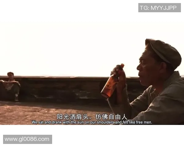 自由人对抗阳光推迟的挑战与机遇探索