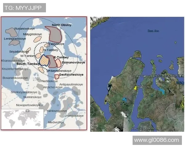 亚马尔地区的能源战略与全球气候变化的互动分析与展望