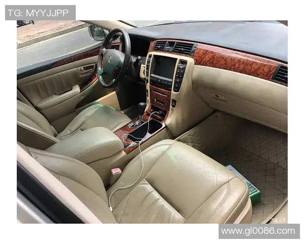 南京飞盘队在城市马拉松中逆袭成功的精彩历程与背后故事