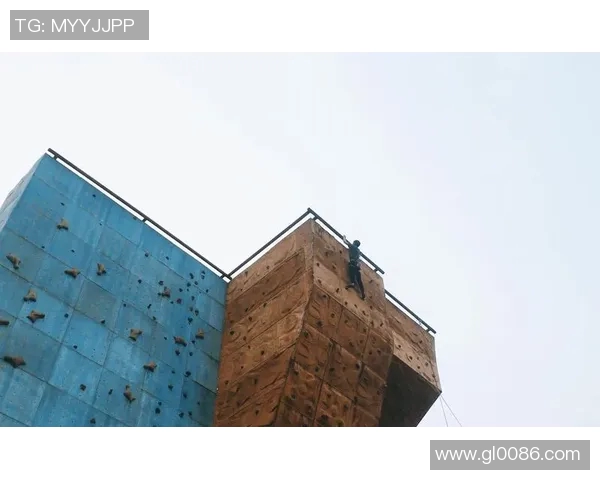 广州攀岩队心理素质深度对比与训练策略分析探讨