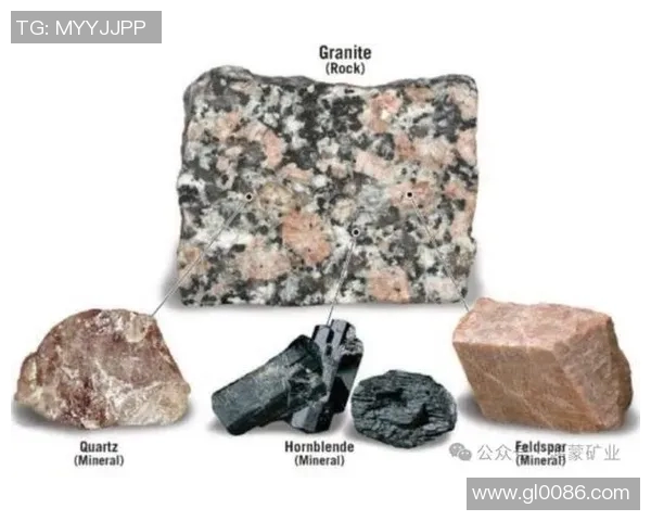 探索奥蓬达的魅力与传奇揭示其在文化与历史中的独特地位与影响力