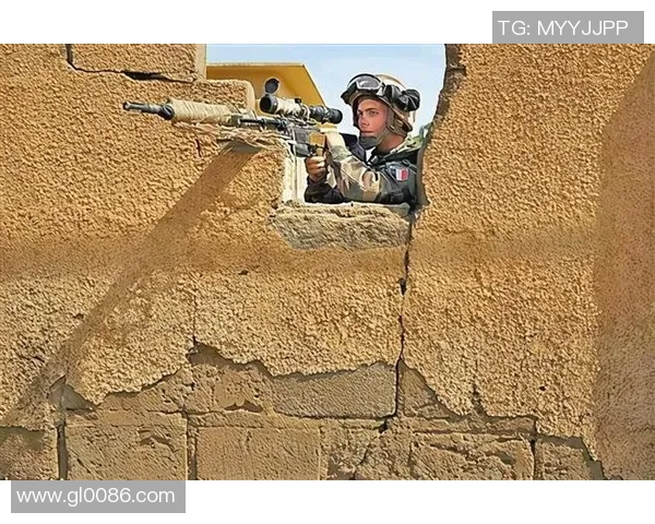 怨恨与阿塞拜疆视频的深度解析与反思 怨恨与阿塞拜疆视频的深度解析与反思