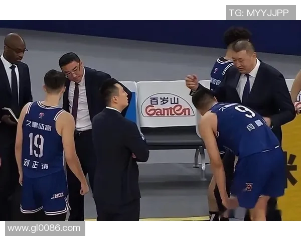 西安排球队灵活性引发热议球迷与专家各执己见探讨战术选择