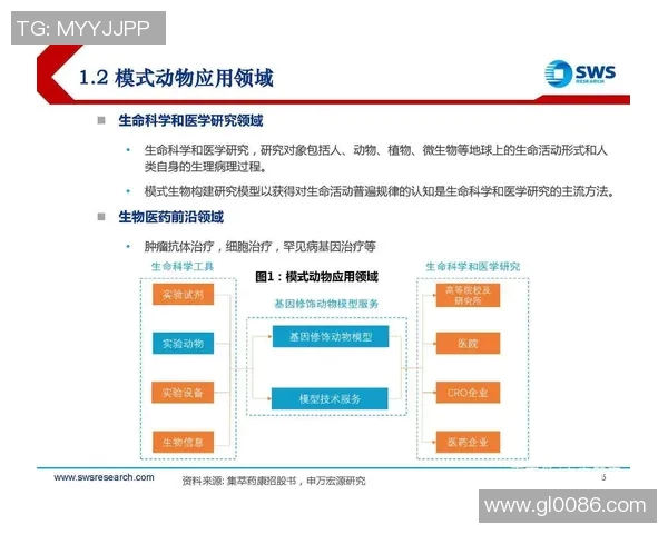广州排球队的节奏体系与排球战术创新探讨