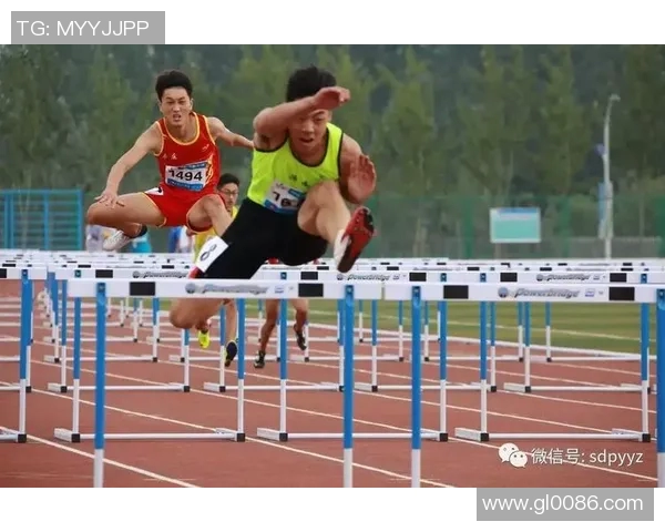 张磊独家分享乒乓球技巧与心得助你提升竞技水平与比赛表现